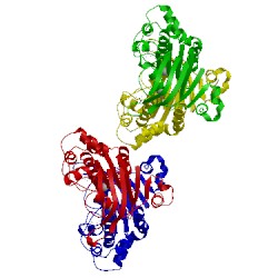 Image of CATH 1xef