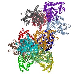 Image of CATH 1xfb