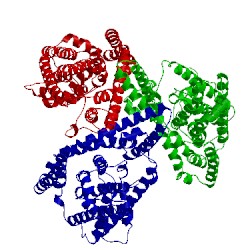 Image of CATH 1xfh