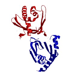 Image of CATH 1xfs