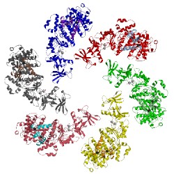 Image of CATH 1xfv