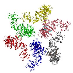 Image of CATH 1xfy