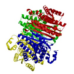Image of CATH 1xg5