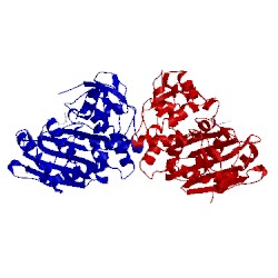 Image of CATH 1xgj