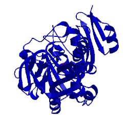 Image of CATH 1xhc