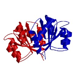 Image of CATH 1xhe