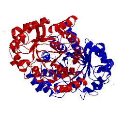 Image of CATH 1xjb