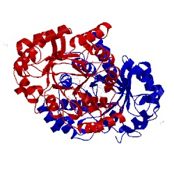 Image of CATH 1xjb