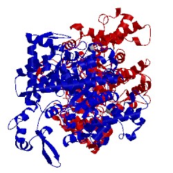 Image of CATH 1xjm