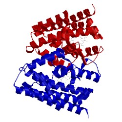 Image of CATH 1xk3