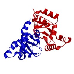 Image of CATH 1xkf