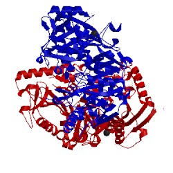 Image of CATH 1xkv