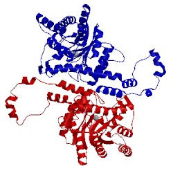 Image of CATH 1xlb