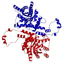 Image of CATH 1xlc