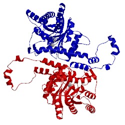 Image of CATH 1xld