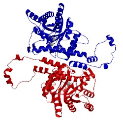 Image of CATH 1xlf