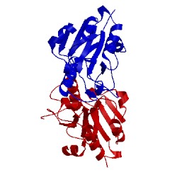 Image of CATH 1xm7