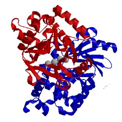 Image of CATH 1xm8