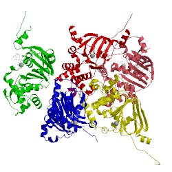 Image of CATH 1xmi