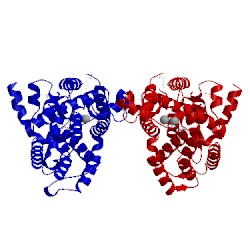 Image of CATH 1xn0