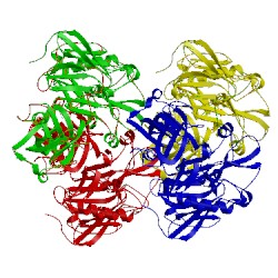 Image of CATH 1xn3