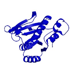 Image of CATH 1xn4