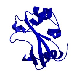 Image of CATH 1xne