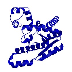 Image of CATH 1xnh
