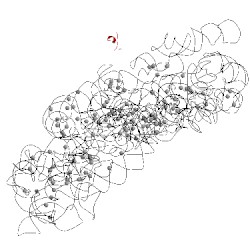 Image of CATH 1xnq