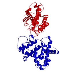 Image of CATH 1xnx