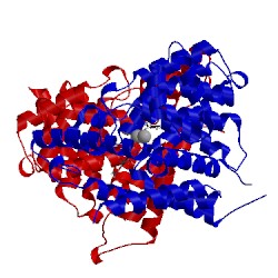 Image of CATH 1xor