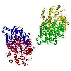 Image of CATH 1xpk