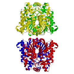 Image of CATH 1xpm