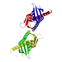 Image of CATH 1xpp