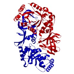 Image of CATH 1xql
