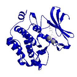 Image of CATH 1xr1