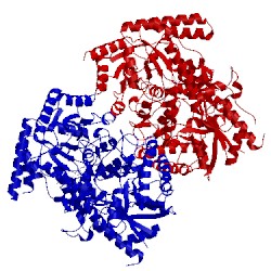 Image of CATH 1xr2