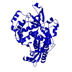 Image of CATH 1xr6