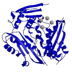 Image of CATH 1xra