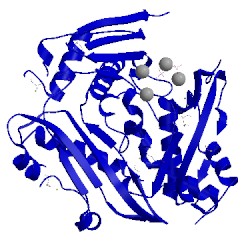 Image of CATH 1xrb