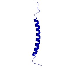 Image of CATH 1xrd