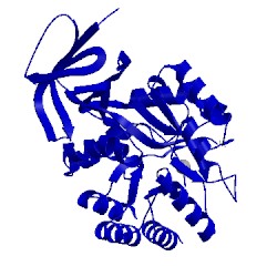 Image of CATH 1xrf