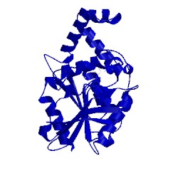 Image of CATH 1xrl