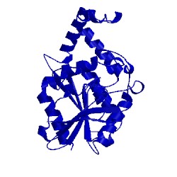 Image of CATH 1xrn