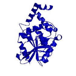 Image of CATH 1xrq