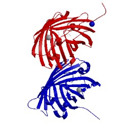 Image of CATH 1xss