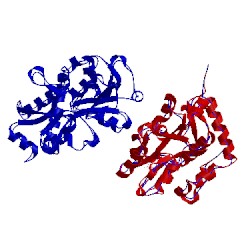 Image of CATH 1xt8
