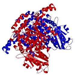 Image of CATH 1xtb