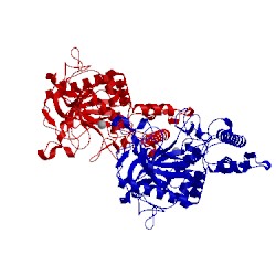 Image of CATH 1xtf