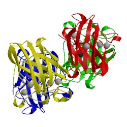 Image of CATH 1xtl